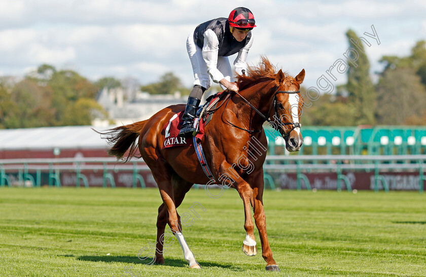 Kyprios-0007 
 KYPRIOS (Ryan Moore) winner of The Qatar Prix du Cadran
Longchamp 5 Oct 2024 - Pic Steven Cargill / Racingfotos.com