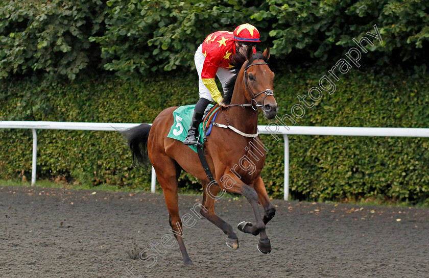 Ombrecell-0001 
 OMBRECELL (Richard Kingscote)
Kempton 7 Aug 2024 - Pic Steven Cargill / Racingfotos.com