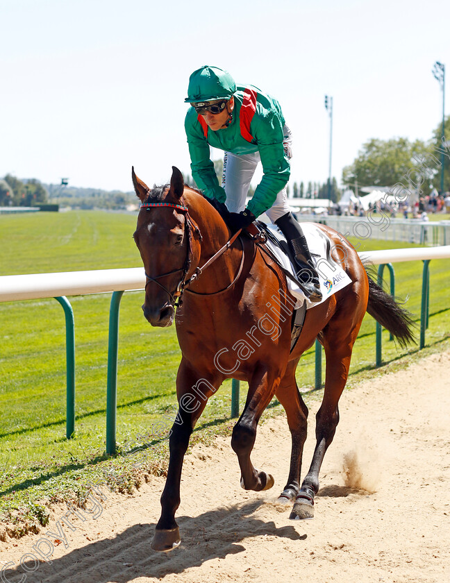 Dolayli-0001 
 DOLAYLI (Christophe Soumillon)
Deauville 7 Aug 2022 - Pic Steven Cargill / Racingfotos.com