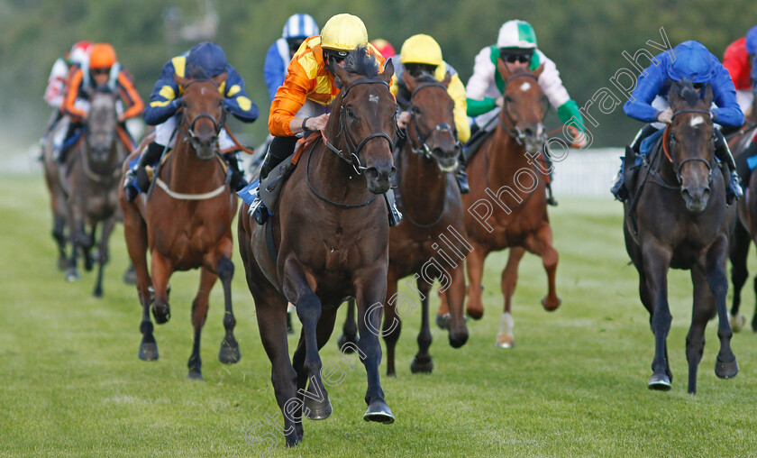 Tinker-Toy-0004 
 TINKER TOY (Jack Mitchell) wins The Every Race Live On Racing TV Novice Stakes Div1
Salisbury 11 Jul 2020 - Pic Steven Cargill / Racingfotos.com