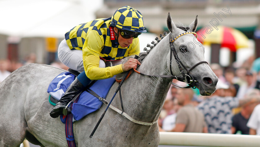 Alfred-Boucher-0005 
 ALFRED BOUCHER (William Buick) wins The Sky Bet Stayers Handicap
York 17 Aug 2022 - Pic Steven Cargill / Racingfotos.com