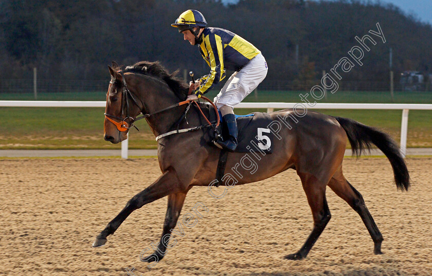 Irish-Acclaim-0001 
 IRISH ACCLAIM (Liam Keniry)
Chelmsford 19 Nov 2019 - Pic Steven Cargill / Racingfotos.com