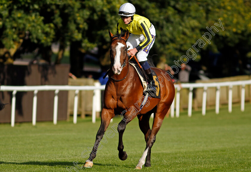 Leadenhall-Street-0001 
 LEADENHALL STREET (Daniel Muscutt)
Newmarket 9 Aug 2024 - Pic Steven Cargill / Racingfotos.com