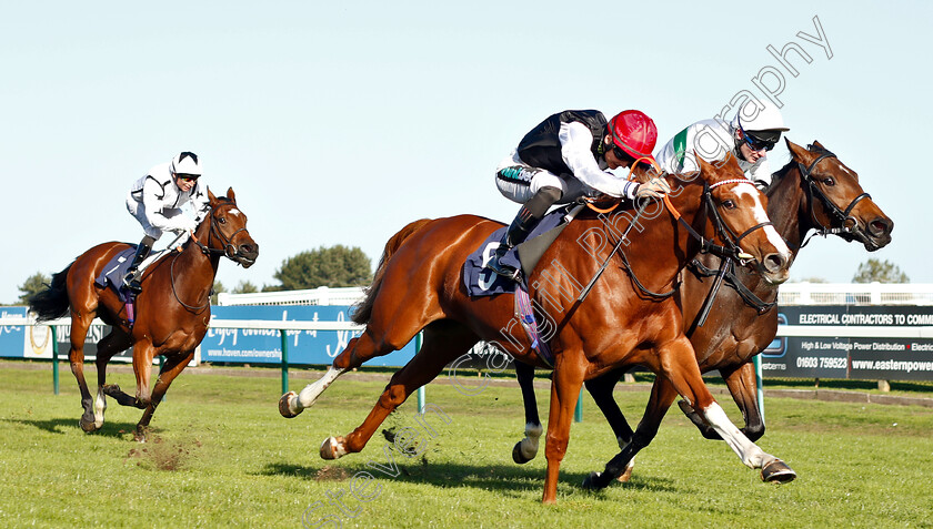 Frankellina-0003 
 FRANKELLINA (Harry Bentley) beats OUSSEL FALLS (right) in The British Stallion Studs EBF Fillies Novice Stakes Div1
Yarmouth 23 Oct 2018 - Pic Steven Cargill / Racingfotos.com