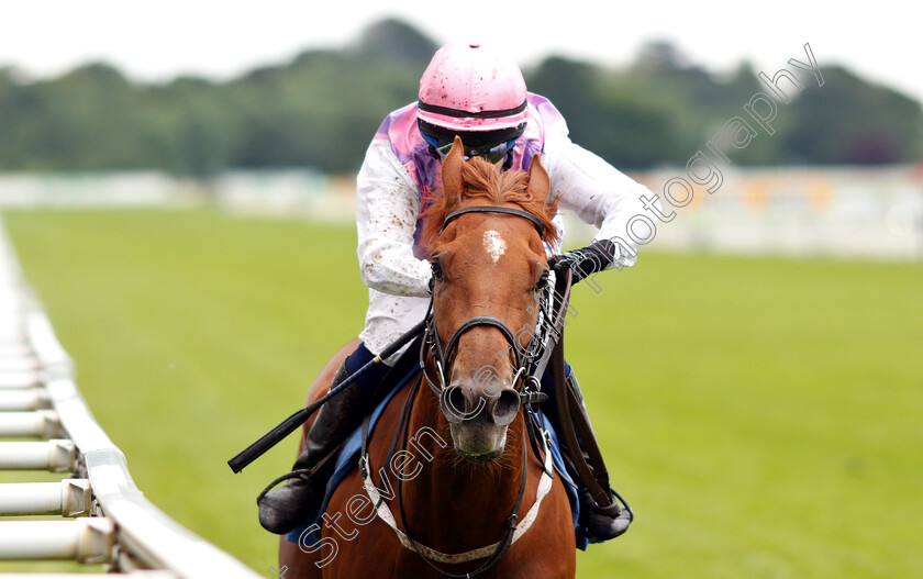 Arctic-Fox-0007 
 ARCTIC FOX (Carol Bartley) wins The Queen Mother's Cup
York 15 Jun 2019 - Pic Steven Cargill / Racingfotos.com