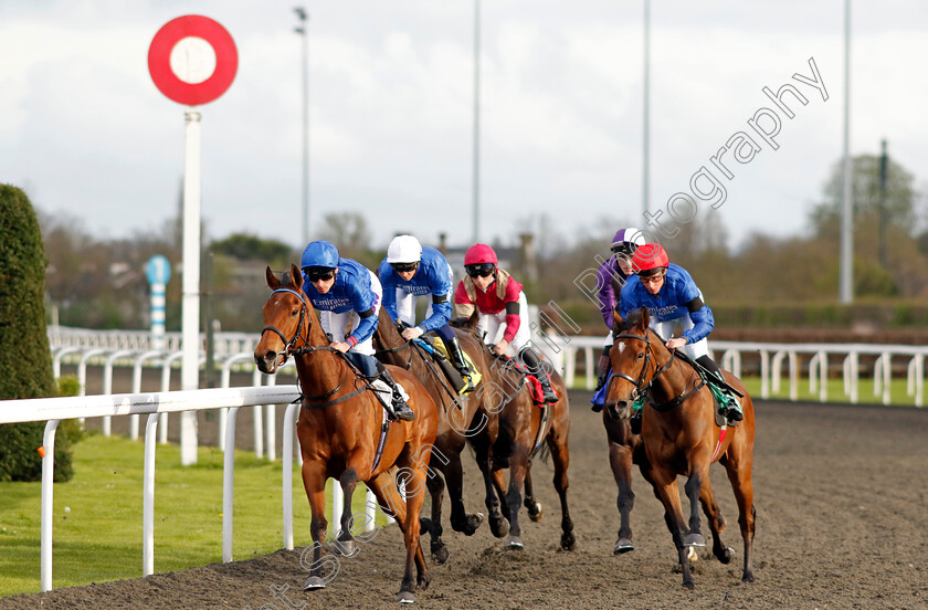 Juneberry-and-Winter-Snowfall-0001 
 JUNEBERRY (Kieran Shoemark) leads WINTER SNOWFALL (right) 
Kempton 3 Apr 2024 - Pic Steven Cargill / Racingfotos.com