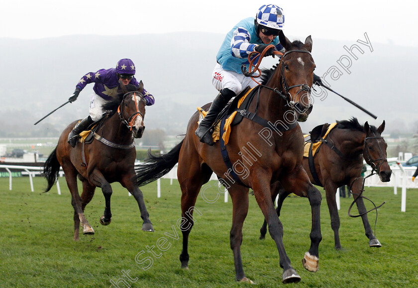 Fanfan-Du-Seuil-0003 
 NELSON RIVER (left, Harry Bannister) catches FANFAN DU SEUIL (right) to win The JCB Triumph Trial Juvenile Hurdle
Cheltenham 15 Dec 2018 - Pic Steven Cargill / Racingfotos.com