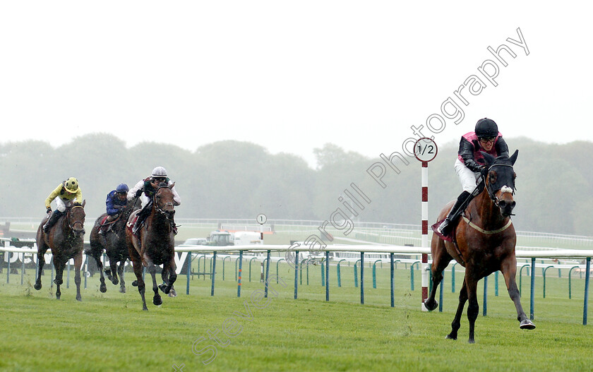 Severance-0001 
 SEVERANCE (George Downing) wins The Play 4 To Score At Betway Novice Stakes
Haydock 27 Apr 2019 - Pic Steven Cargill / Racingfotos.com