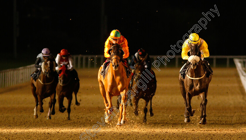 Secratario-0004 
 SECRATARIO (centre, Shane Kelly) beats LET'S BE HAPPY (right) in The Hellermanntyton Protection Claiming Stakes
Wolverhampton 5 Sep 2018 - Pic Steven Cargill / Racingfotos.com