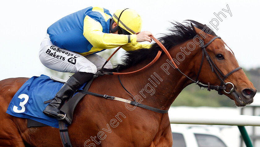 Orin-Swift-0006 
 ORIN SWIFT (Richard Kingscote) wins The Bet At Racingtv.com Handicap
Nottingham 30 Apr 2019 - Pic Steven Cargill / Racingfotos.com