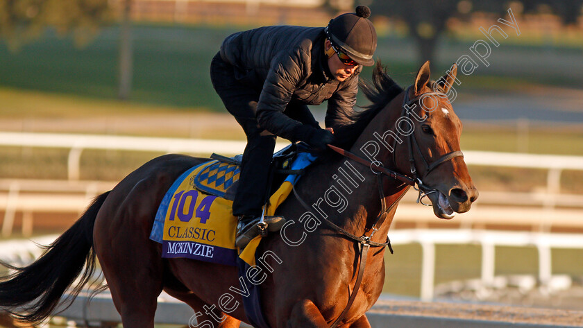 Mckinzie-0006 
 MCKINZIE training for The Breeders' Cup Dirt Classic
Santa Anita USA 31 Oct 2019 - Pic Steven Cargill / Racingfotos.com