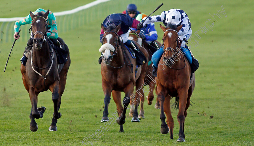 Rebel-Territory-0003 
 REBEL TERRITORY (right, Jim Crowley) beats FAIRY CAKES (left) in The 888sport What's Your Thinking Handicap
Newmarket 30 Oct 2021 - Pic Steven Cargill / Racingfotos.com