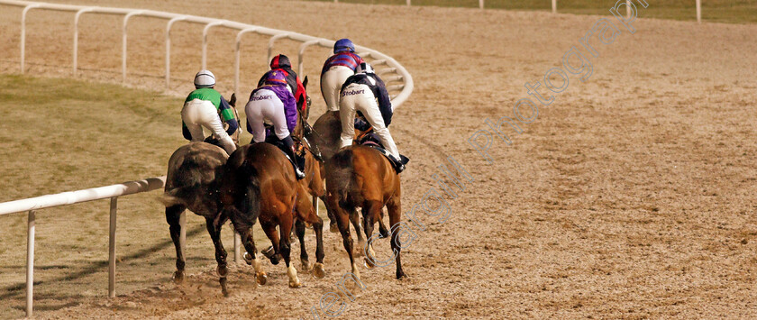 Nelson-River-0002 
 Racing during The Betway Apprentice Handicap won by NELSON RIVER (Elisha Whittington)
Wolverhampton 7 Jan 2021 - Pic Steven Cargill / Racingfotos.com