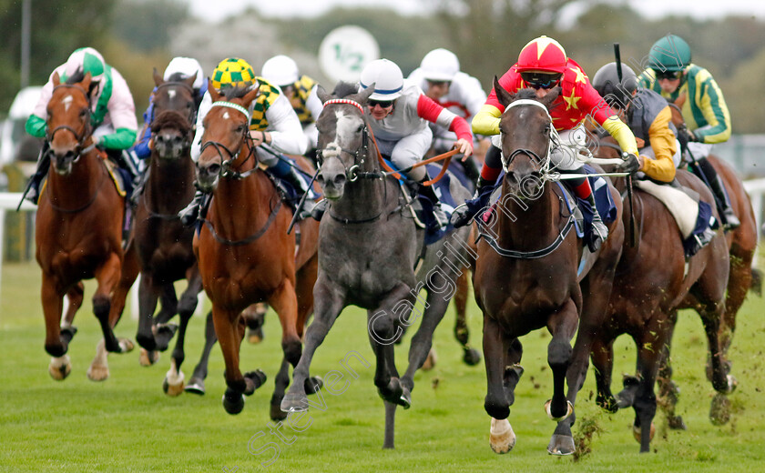 Son-Of-Man-0006 
 SON OF MAN (David Egan) wins The British Stallion Studs EBF Novice Stakes Div1
Yarmouth 19 Sep 2023 - Pic Steven Cargill / Racingfotos.com