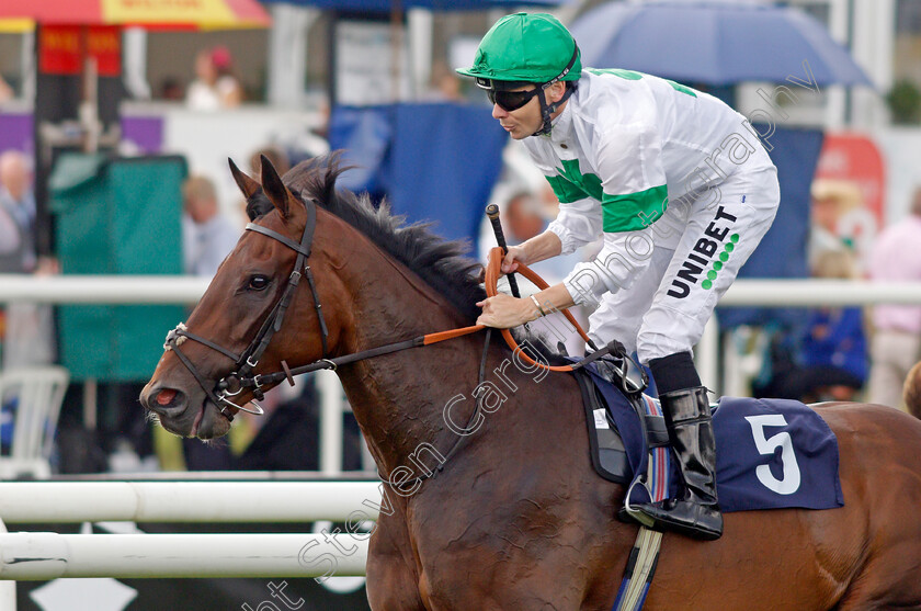 Rodrigo-Diaz-0002 
 RODRIGO DIAZ (Jamie Spencer)
Doncaster 10 Sep 2021 - Pic Steven Cargill / Racingfotos.com