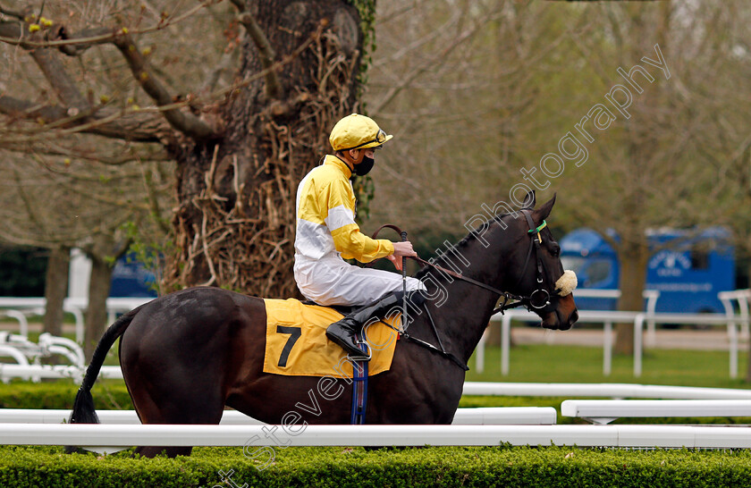 There s-No-Danger-0001 
 THERE'S NO DANGER (James Doyle)
Kempton 31 Mar 2021 - Pic Steven Cargill / Racingfotos.com