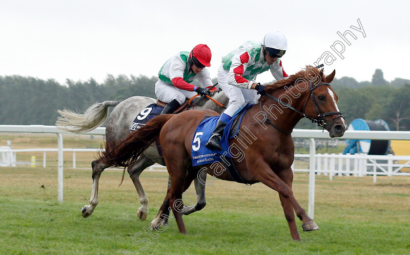 Mersal-0001 
 MERSAL (David Turner) wins The Emirates NBD Handicap 
Newbury 29 Jul 2018 - Pic Steven Cargill / Racingfotos.com