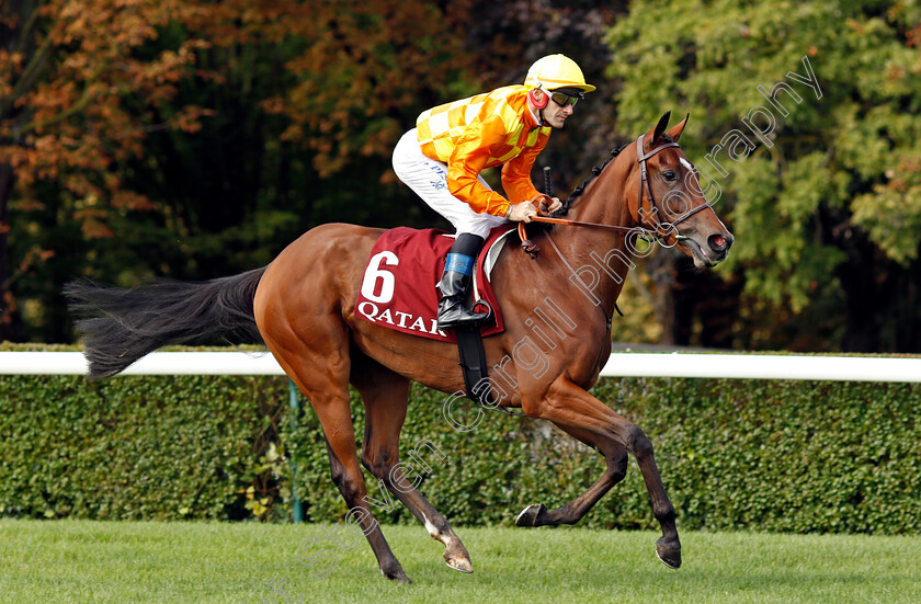 Acer-Alley 
 ACER ALLEY (Olivier Peslier)
Longchamp 3 Oct 2021 - Pic Steven Cargill / Racingfotos.com