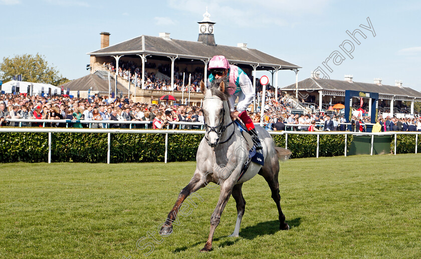 Logician-0005 
 LOGICIAN (Frankie Dettori) before The William Hill St Leger
Doncaster 14 Sep 2019 - Pic Steven Cargill / Racingfotos.com