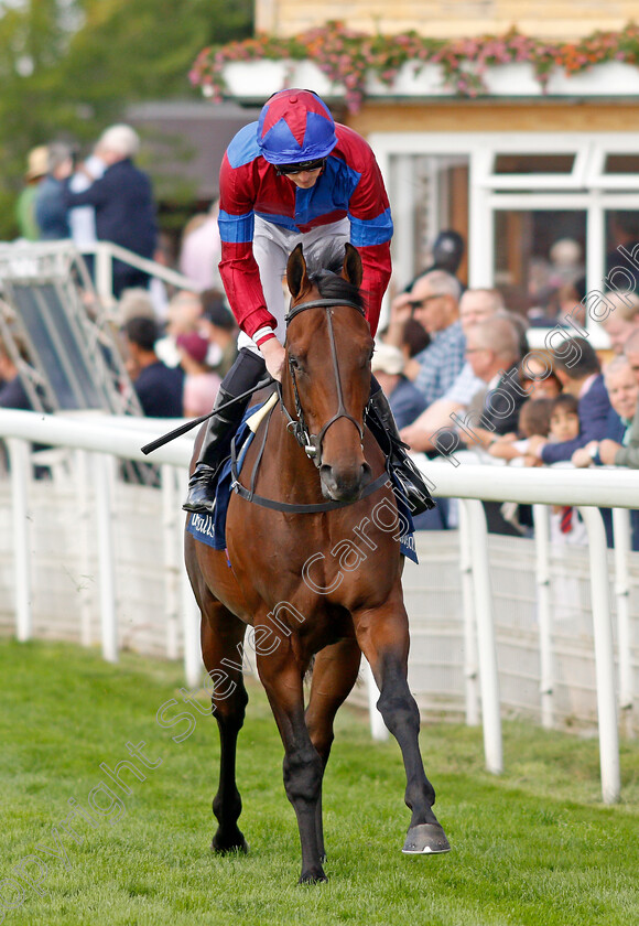 Dubawi-Legend-0002 
 DUBAWI LEGEND (James Doyle)
York 18 Aug 2021 - Pic Steven Cargill / Racingfotos.com