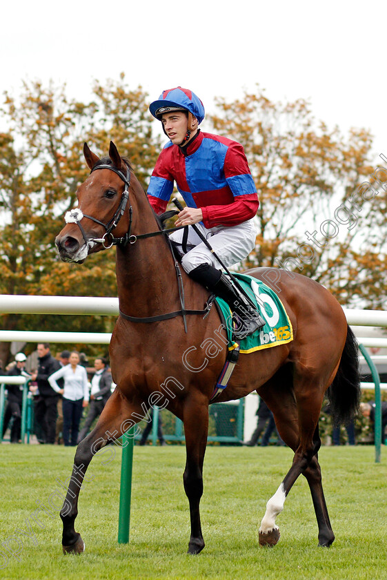 Powerful-Breeze-0001 
 POWERFUL BREEZE (James Doyle)
11 Oct 2019 - Pic Steven Cargill / Racingfotos.com