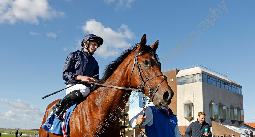 City-Of-Troy-0013 
 CITY OF TROY (Ryan Moore) winner of The Dewhurst Stakes
Newmarket 14 Oct 2023 - Pic Steven Cargill / Racingfotos.com