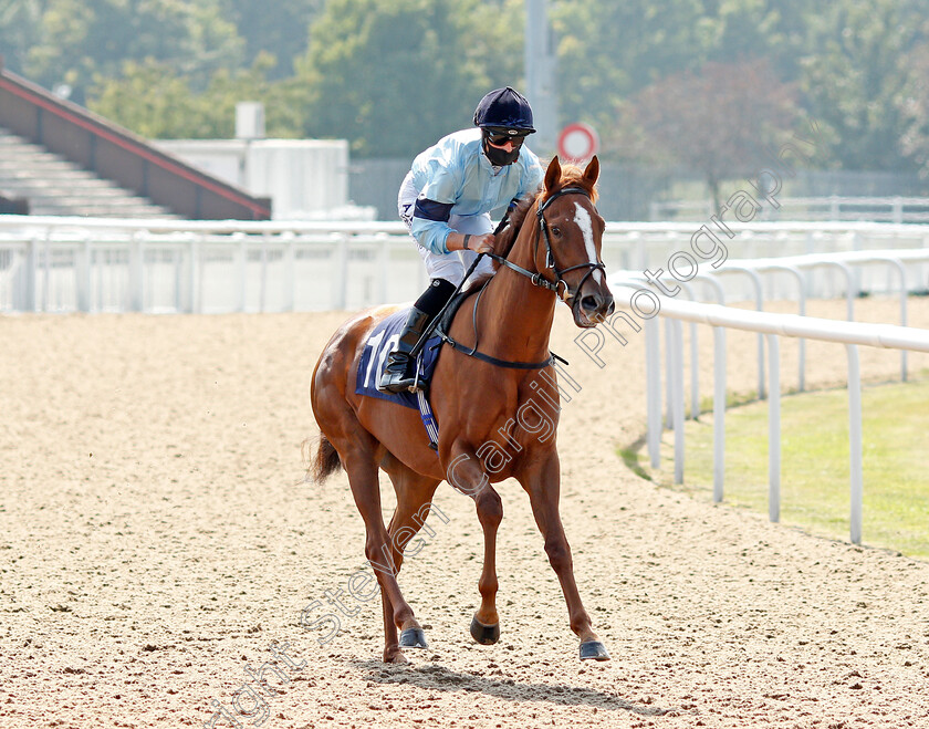 Operatic-0007 
 OPERATIC (Jack Mitchell) 
Wolverhampton 11 Aug 2020 - Pic Steven Cargill / Racingfotos.com