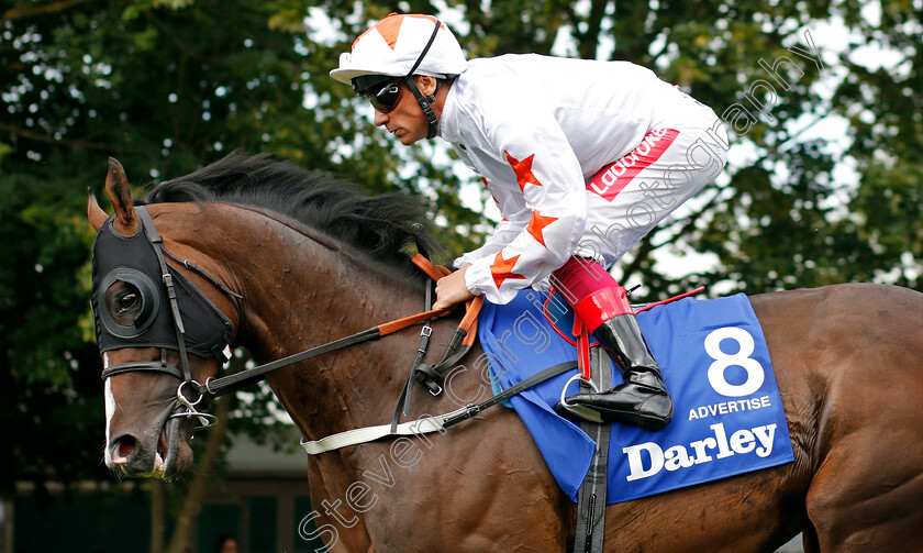 Advertise-0001 
 ADVERTISE (Frankie Dettori)
Newmarket 13 Jul 2019 - Pic Steven Cargill / Racingfotos.com