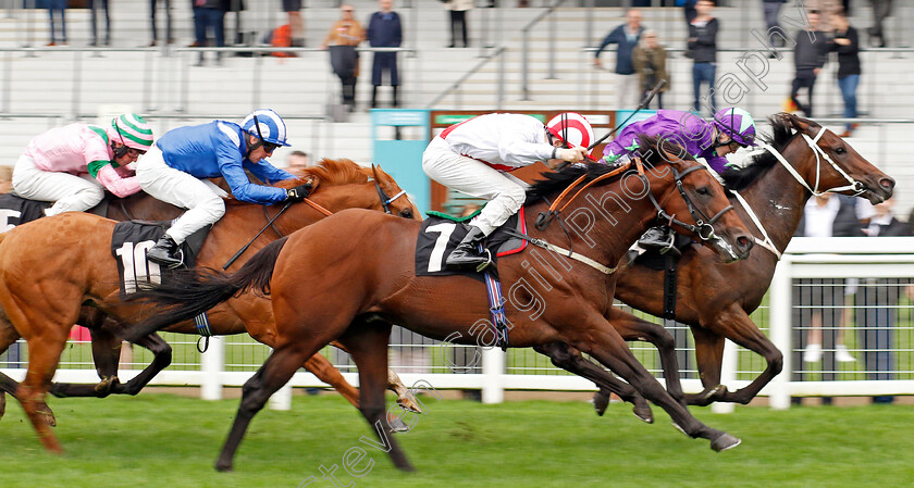 Lord-Bertie-0001 
 LORD BERTIE (farside, Jonny Peate) beats UNITED APPROACH (nearside) in The Ascot Iron Stand Membership Classified Stakes
Ascot 6 Sep 2024 - Pic Steven Cargill / Racingfotos.com