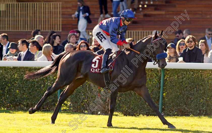 Penalty-0001 
 PENALTY (Thore Hammer-Hansen)
Longchamp 5 Oct 2034 - Pic Steven Cargill / Racingfotos.com