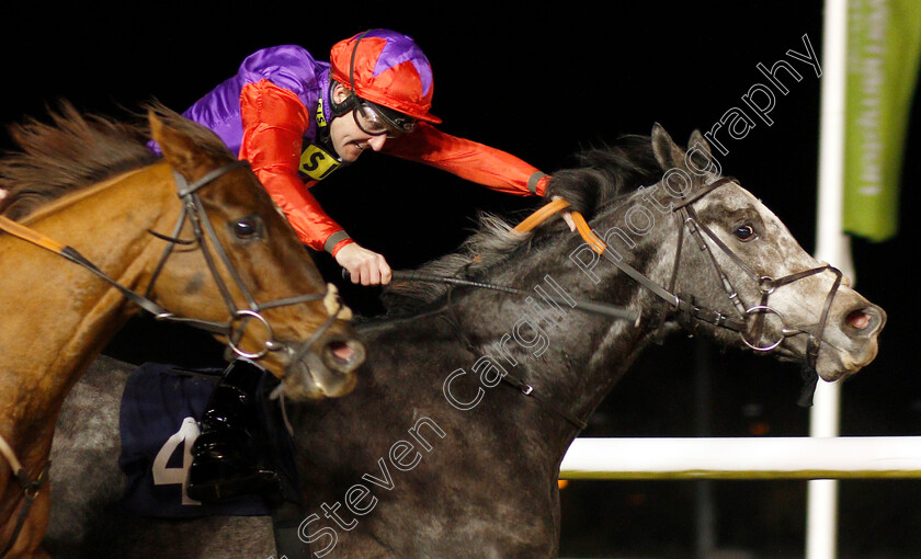 Rocket-Action-0004 
 ROCKET ACTION (Tom Queally) wins The Betway Handicap
Wolverhampton 26 Nov 2019 - Pic Steven Cargill / Racingfotos.com