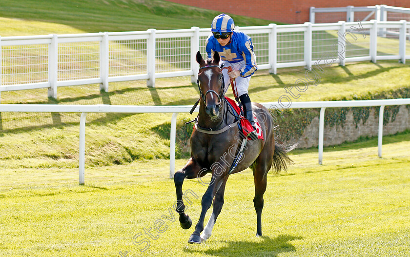 Into-Faith-0001 
 INTO FAITH (Jason Watson)
Sandown 30 Aug 2019 - Pic Steven Cargill / Racingfotos.com