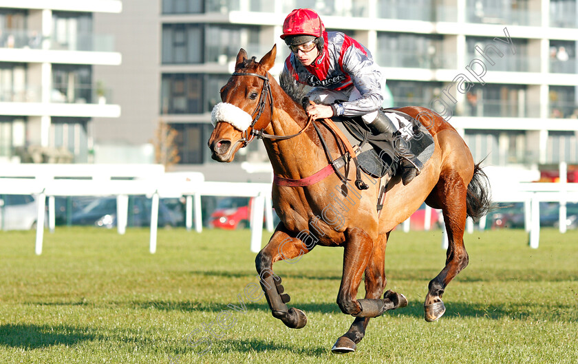 Fanion-D Estruval-0004 
 FANION D'ESTRUVAL (Charlie Deutsch) wins The Ladbrokes Novices Handicap Chase
Newbury 29 Nov 2019 - Pic Steven Cargill / Racingfotos.com