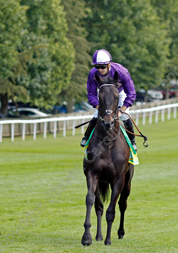 Cuban-Thunder-0002 
 CUBAN THUNDER (Kevin Stott)
Newmarket 15 Jul 2023 - Pic Steven Cargill / Racingfotos.com