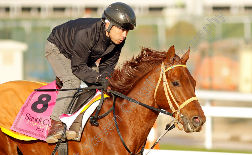 Remake-0001 
 REMAKE training for the Riyadh Dirt Sprint
King Abdulaziz Racecourse, Kingdom of Saudi Arabia, 22 Feb 2023 - Pic Steven Cargill / Racingfotos.com