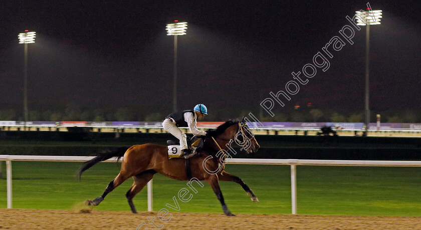 Keiai-Dorie-0001 
 KEIAI DORIE training for The Golden Shaheen
Meydan Dubai 26 Mar 2024 - Pic Steven Cargill / Racingfotos.com