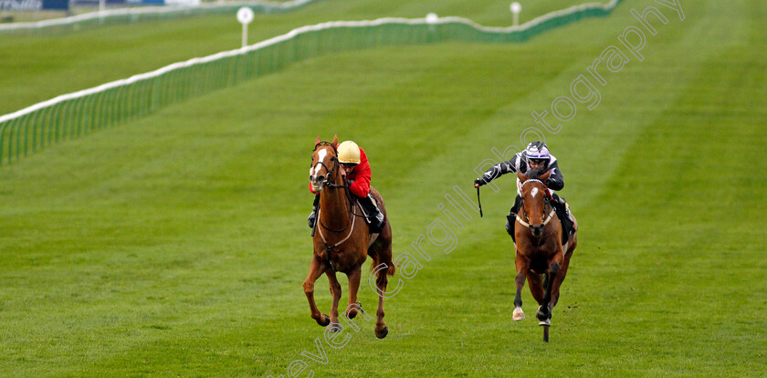 Awake-My-Soul-0002 
 AWAKE MY SOUL (Tom Queally) beats DOLPHIN VISTA (right) in The Play 3-2-Win At Mansionbet Handicap
Newmarket 30 Oct 2020 - Pic Steven Cargill / Racingfotos.com