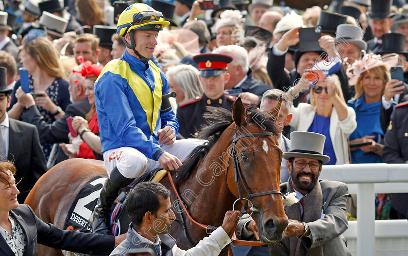 Desert-Crown-0019 
 DESERT CROWN (Richard Kingscote) after The Cazoo Derby
Epsom 4 Jun 2022 - Pic Steven Cargill / Racingfotos.com