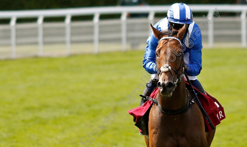 Battaash-0009 
 BATTAASH (Jim Crowley) after The King George Qatar Stakes
Goodwood 2 Aug 2019 - Pic Steven Cargill / Racingfotos.com