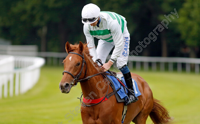 Selectivity-0001 
 SELECTIVITY (Joey Haynes)
Salisbury 16 Jun 2024 - Pic Steven Cargill / Racingfotos.com