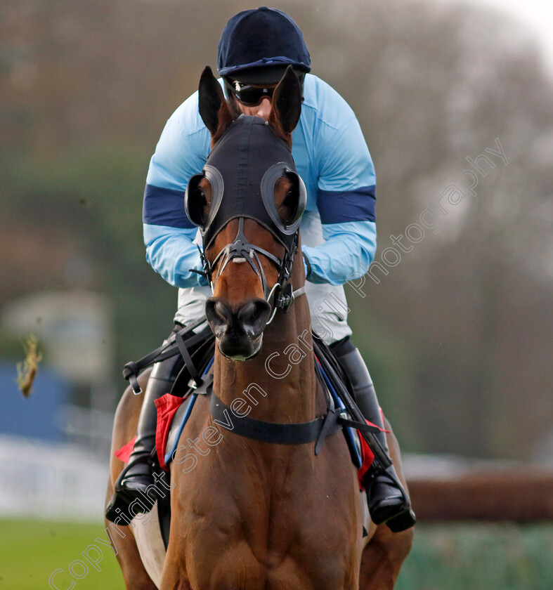 Mount-Tempest-0010 
 MOUNT TEMPEST (Harry Skelton) winner of The Best Odds On The Betfair Exchange Handicap Chase
Sandown 8 Dec 2023 - pic Steven Cargill / Racingfotos.com