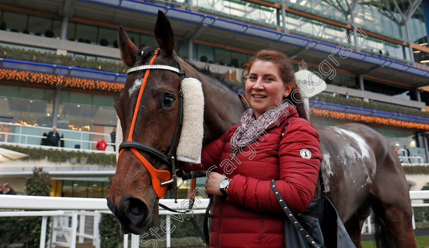 Golan-Fortune-0008 
 GOLAN FORTUNE after The Mitie Conditional Jockeys Handicap Hurdle Ascot 22 Dec 2017 - Pic Steven Cargill / Racingfotos.com