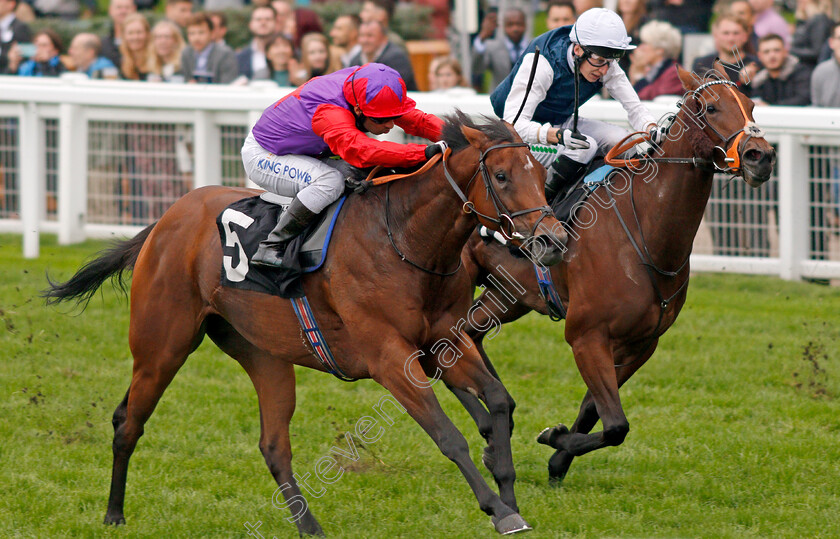 Di-Fede-0003 
 DI FEDE (left, Silvestre De Sousa) beats MISS CELESTIAL (right) in The Child Bereavement UK British EBF October Stakes
Ascot 5 Oct 2019 - Pic Steven Cargill / Racingfotos.com