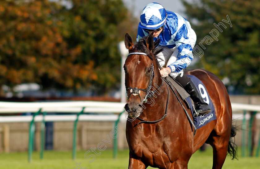 Military-Academy-0002 
 MILITARY ACADEMY (Kieran Shoemark)
Newmarket 27 Sep 2024 - Pic Steven Cargill / Racingfotos.com