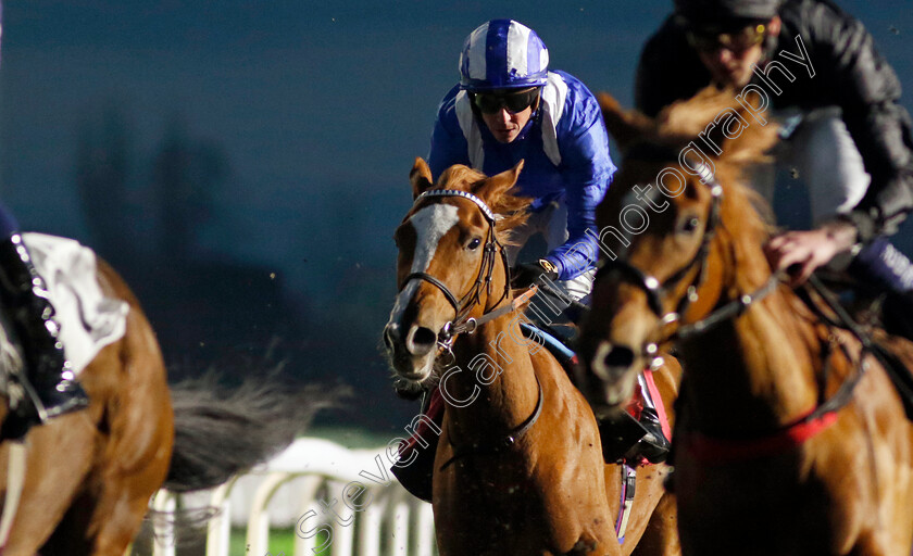 Alfareqa-0002 
 ALFAREQA (Jim Crowley)
Kempton 4 Dec 2024 - Pic Steven Cargill / Racingfotos.com