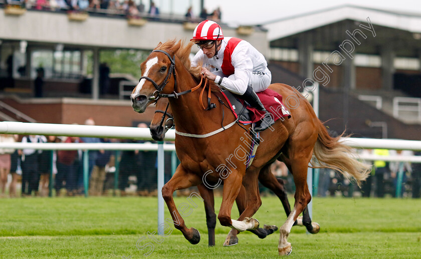 Electric-Storm-0004 
 ELECTRIC STORM (Daniel Tudhope) wins The EBF British Stallion Studs Cecil Frail Stakes
Haydock 24 May 2024 - Pic Steven Cargill / Racingfotos.com