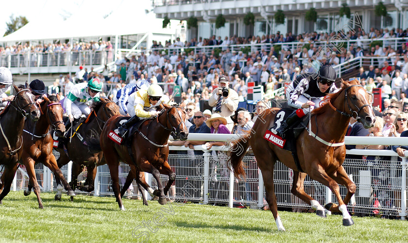 Rumble-Inthejungle-0002 
 RUMBLE INTHEJUNGLE (Tom Queally) wins The Markel Insurance Molecomb Stakes
Goodwood 1 Aug 2018 - Pic Steven Cargill / Racingfotos.com