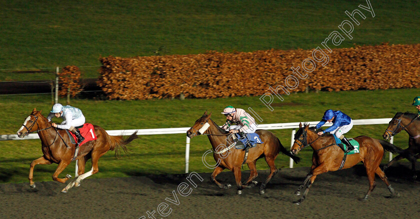 Guroor-0001 
 GUROOR (Stefano Cherchi) beats J GAYE (centre) and FINESPUN (right) in The 100% Profit Boost At 32redsport.com Fillies Handicap
Kempton 19 Feb 2020 - Pic Steven Cargill / Racingfotos.com