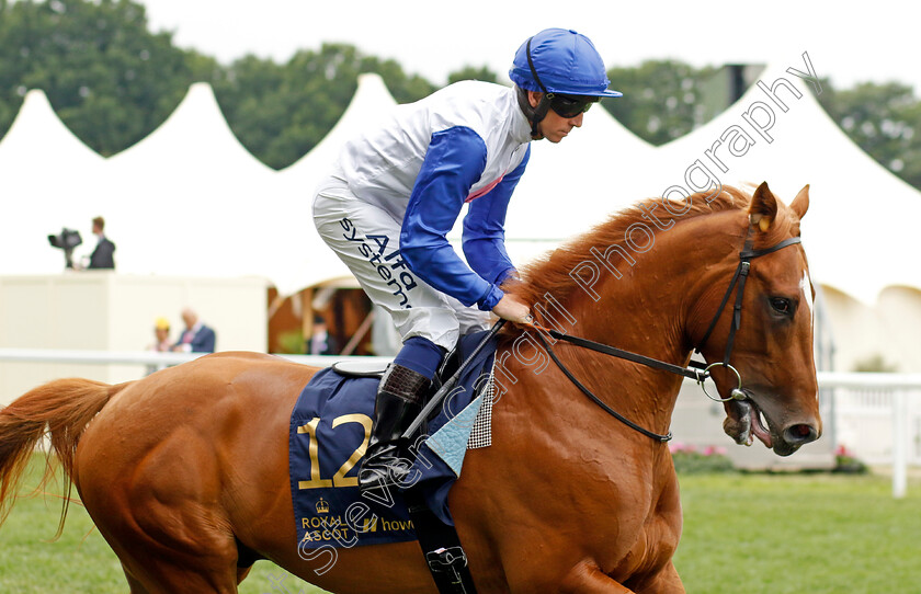 Sunningdale 
 SUNNINGDALE (Jim Crowley)
Royal Ascot 18 Jun 2022 - Pic Steven Cargill / Racingfotos.com