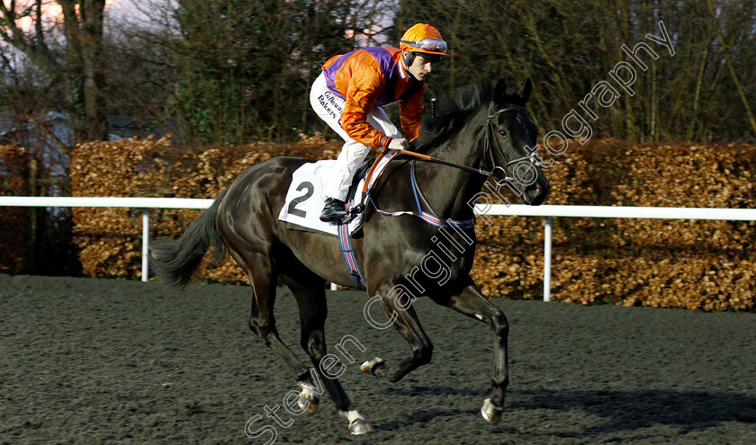 Moongazer-0001 
 MOONGAZER (Richard Kingscote)
Kempton 6 Mar 2019 - Pic Steven Cargill / Racingfotos.com